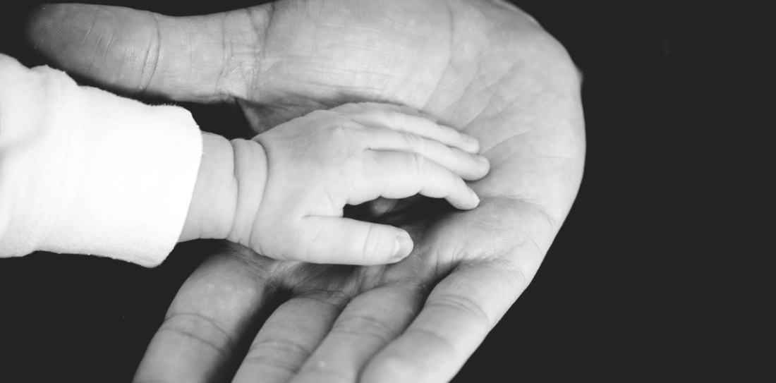 Restore Packer Pride